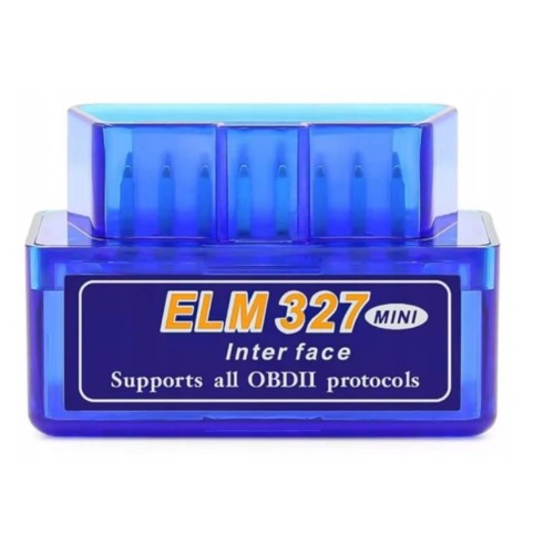 elm.jpg